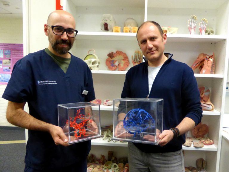 Dr. Emiliano Bruner and Paleoneurology Palaeo Diet